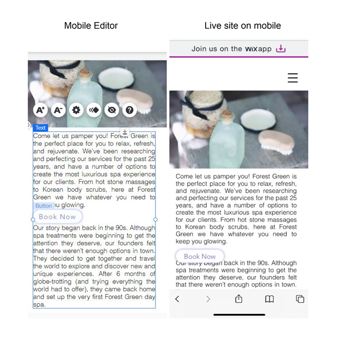 Image of text and a button both in the mobile editor and the live site. The button is overlapping the text on the live site.