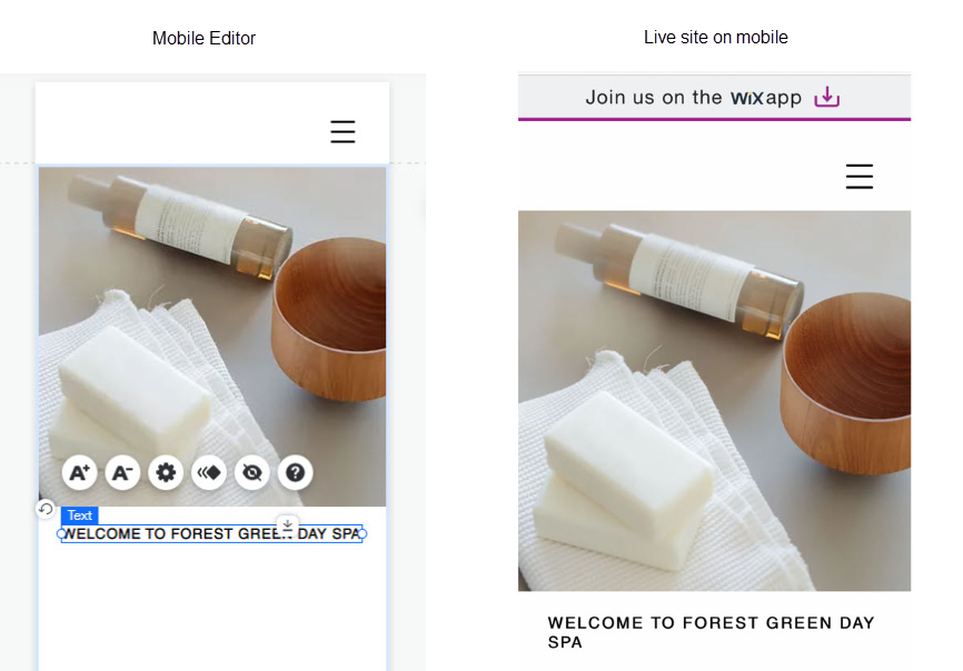 Screenshot showing text on the mobile Editor and a live mobile site.