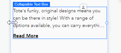 Wix Editor: Adding and Setting Up Collapsible Text