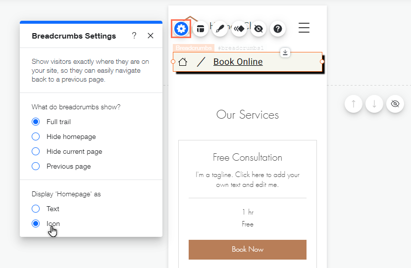 The settings panel for breadcrumbs. The cursor is hovering over the option to display the homepage as an icon in the trail.