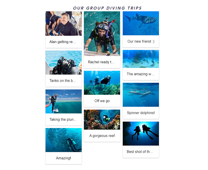 Una galería en un sitio online, que muestra imágenes de un viaje de buceo. Las imágenes tienen pies de foto.