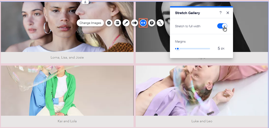 A screenshot of the Stretch Gallery panel over a gallery in the Editor. The 'Stretch to full width' toggle has been enabled.
