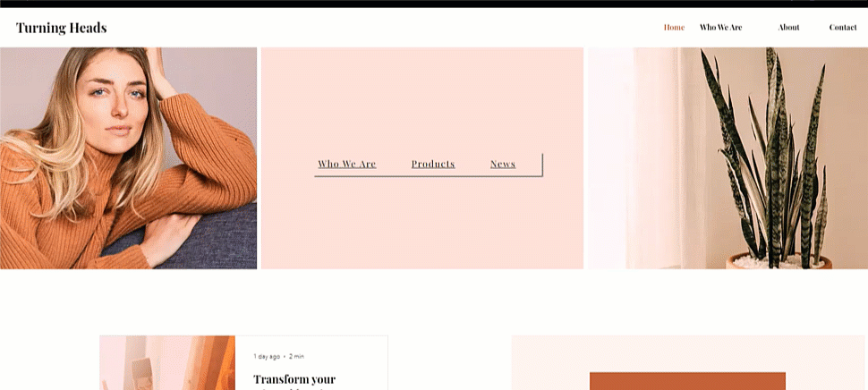 Een GIF met een lightbox die verschijnt op een Wix-website.