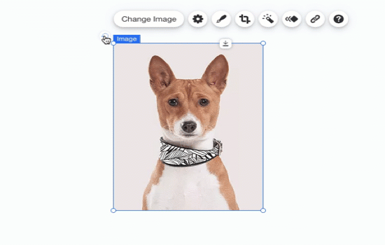 Wix エディタで回転ハンドルを使用して犬が回転している画像を示す GIF。