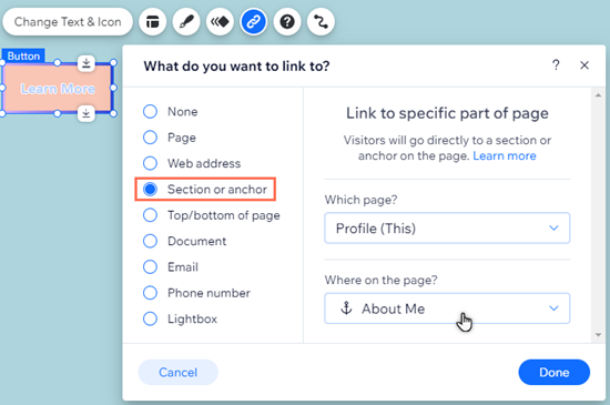 The link panel in the Editor. The anchor details have been set up.