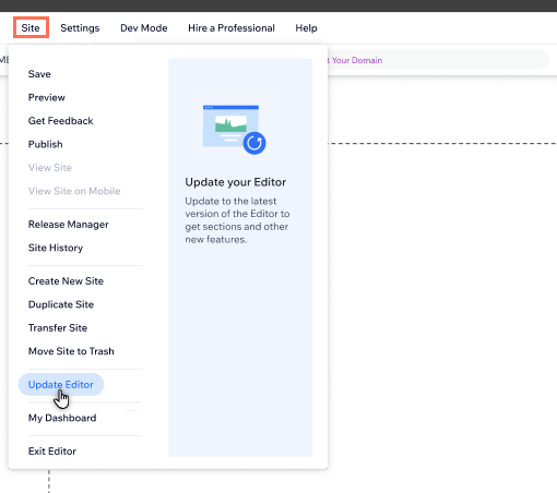 The site panel from the top menu of the Editor. The cursor is hovering over the Update Editor option.