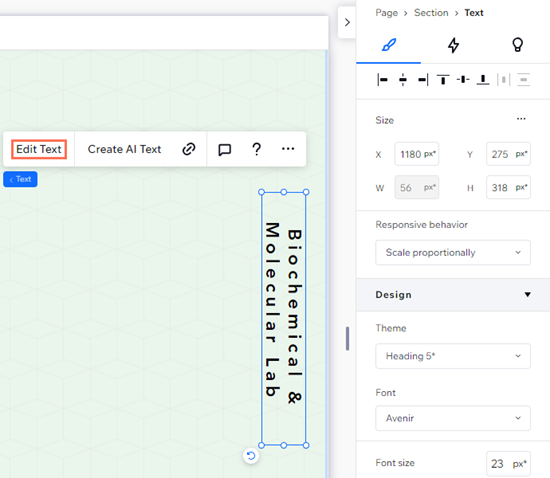 Uma captura de tela de um elemento de texto e das opções de design no painel Inspetor