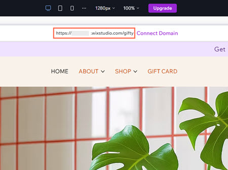Een bijgesneden weergave van de Studio Editor, met de URL van een website bovenaan de pagina.
