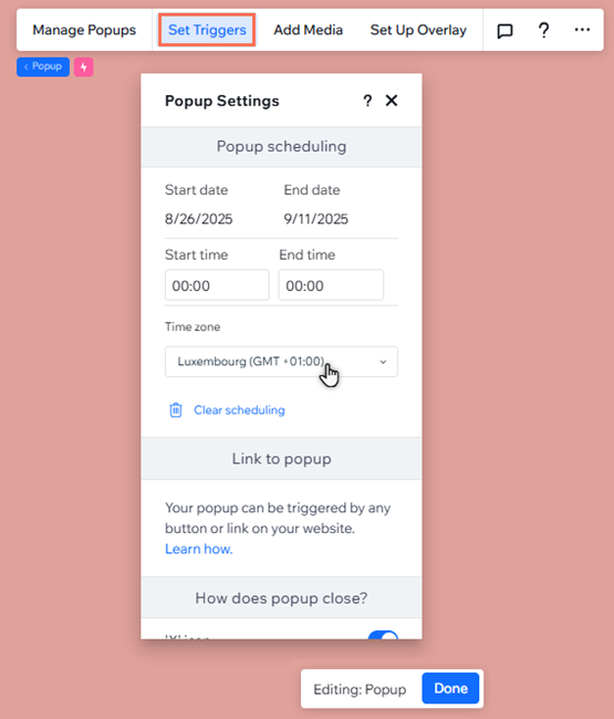 The popup settings panel is open. The cursor is clicking the timezone drop-down.