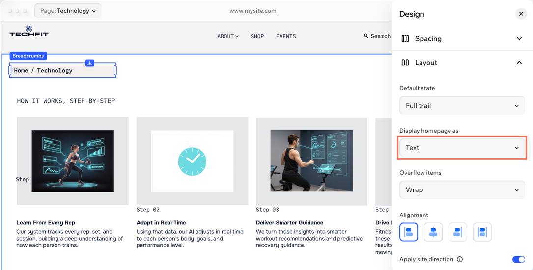 The Layout options in the Design panel, with the Display homepage as dropdown set to Text.