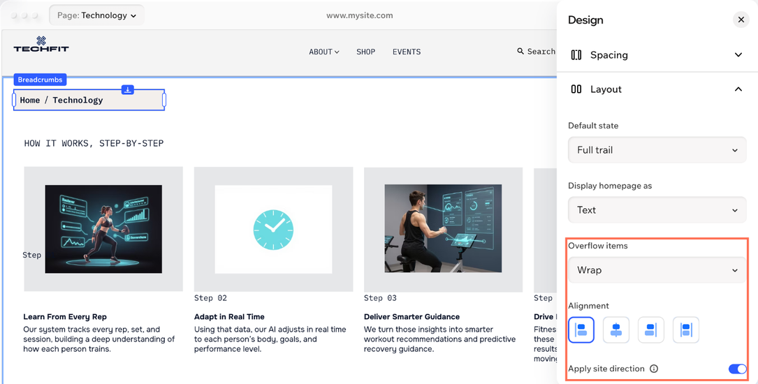The Layout options in the Design panel, showing Overflow items, Alignment and Apply site direction.
