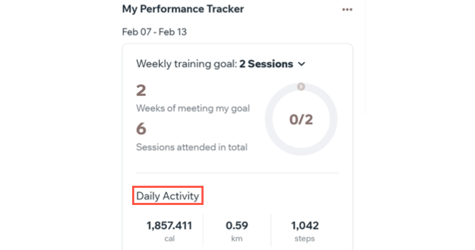 A screenshot showing the daily activity section of the performance tracker.