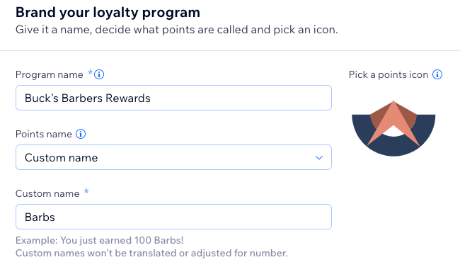 A screenshot showing how to name your loyalty points program.