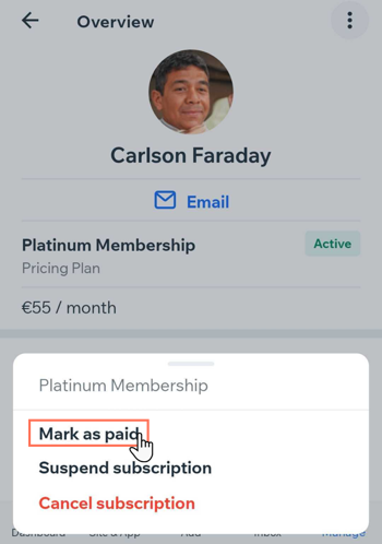 Screenshot showing how to manually mark a plan as paid after an offline payment.