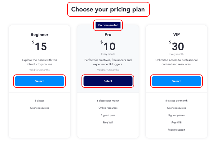 Screenshot showing the pricing plans page on a live site with edited text.