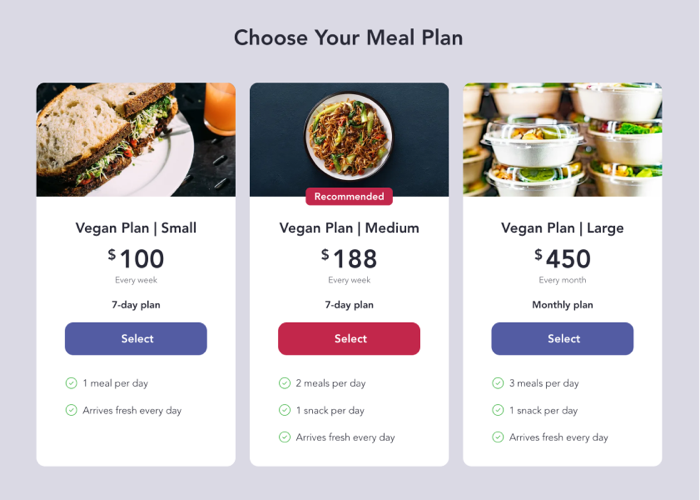 Three different pricing plans connected to services outside of Wix.