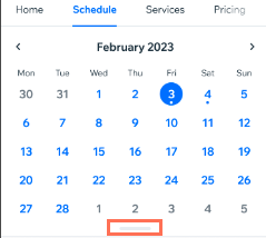 A screenshot showing showing the expanded, monthly view in the Booking Calendar on the Spaces by Wix app.