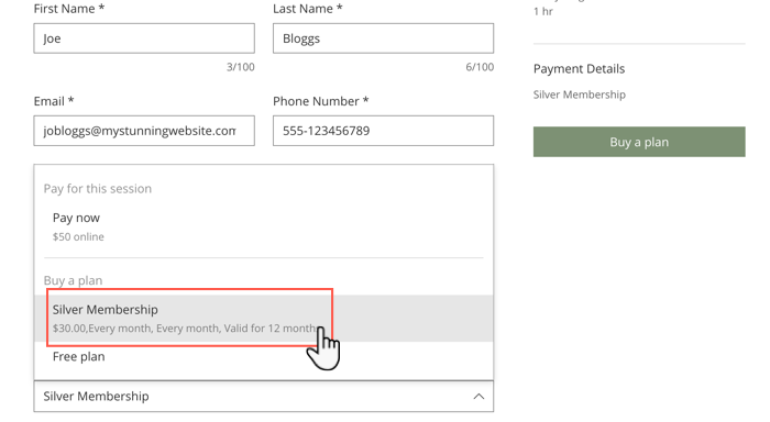 Captura de pantalla de las opciones de pago en un sitio online, incluida la compra de un plan de precios para pagar los servicios.