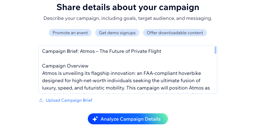 A screenshot showing a campaign brief in the AI wizard of the marketing suite.