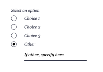 A screenshot of an 'other' option with radio button form selection.