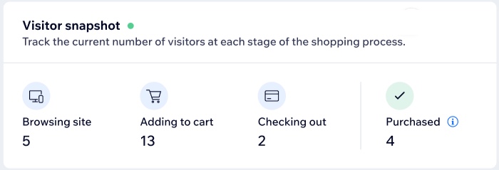 A screenshot of the visitor snapshot showing 4 items purchased today.