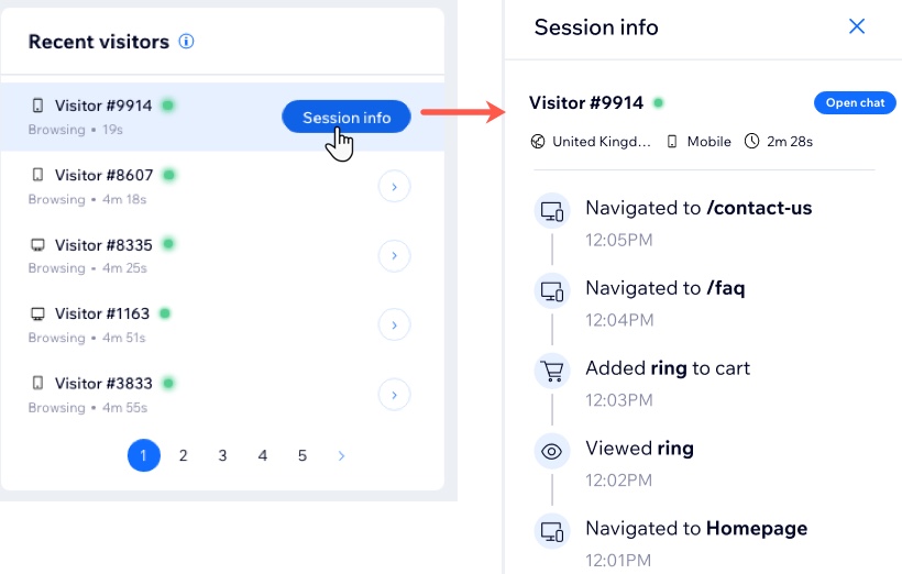 Uma captura de tela da seção de visitantes recentes com informações de uma sessão específica abertas.