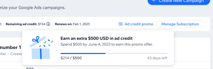 Uma captura de tela de uma Promoção de crédito publicitário do Google Ads em uma conta do Google Ads.