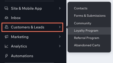 A screenshot of the new Customers and Lead tabs tab in the dashboard menu.