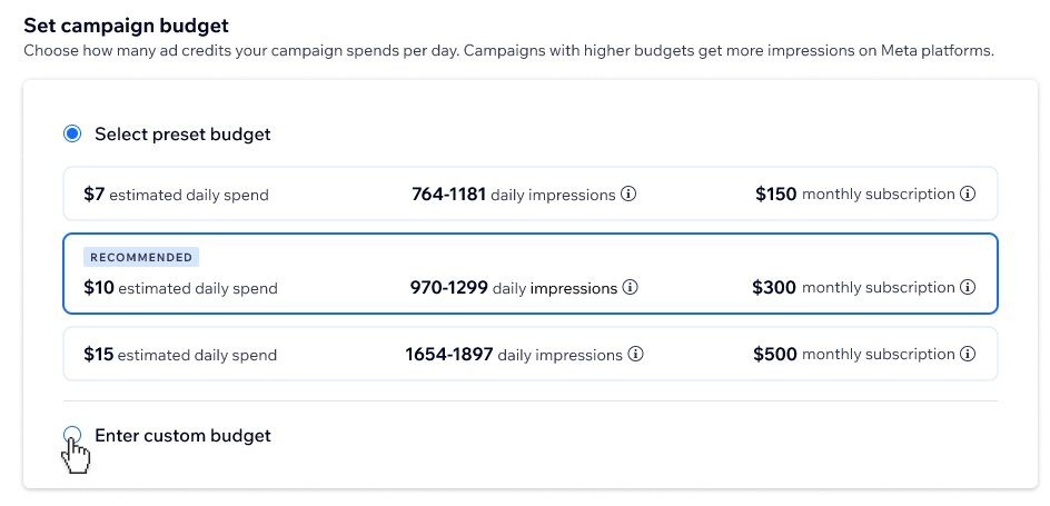 A screenshot of the set campaign budget page