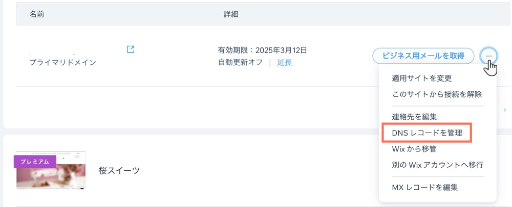 「DNS レコードを管理」ボタン