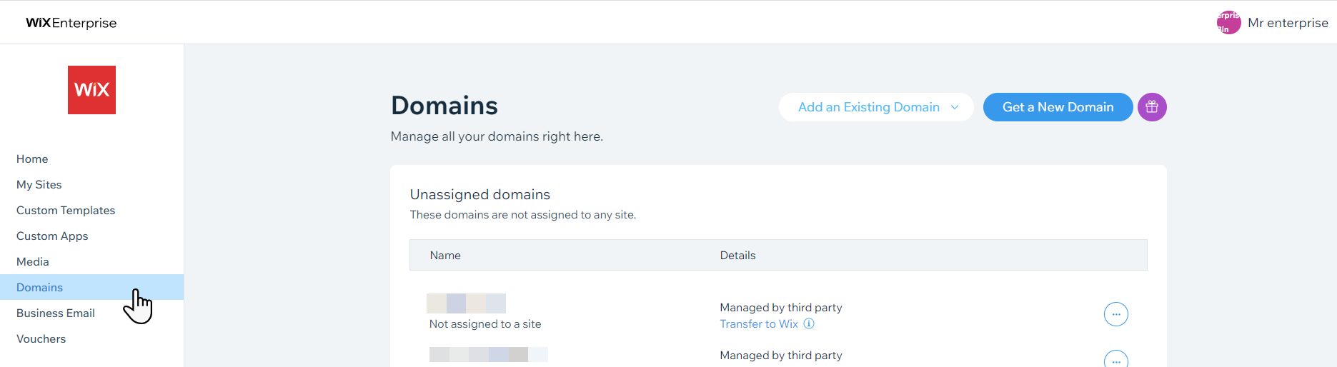 A screenshot showing the domains management section of the enterprise dashboard.