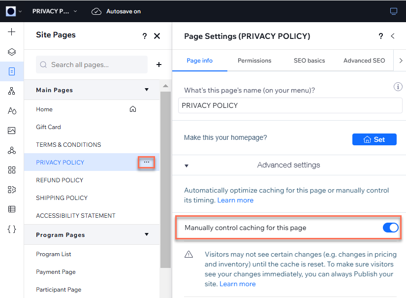 The advanced settings of a page in the Wix Editor.