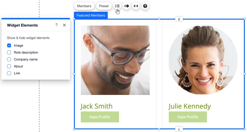 A screenshot of the Widget Elements panel, where you choose which elements should appear in the Featured Members list