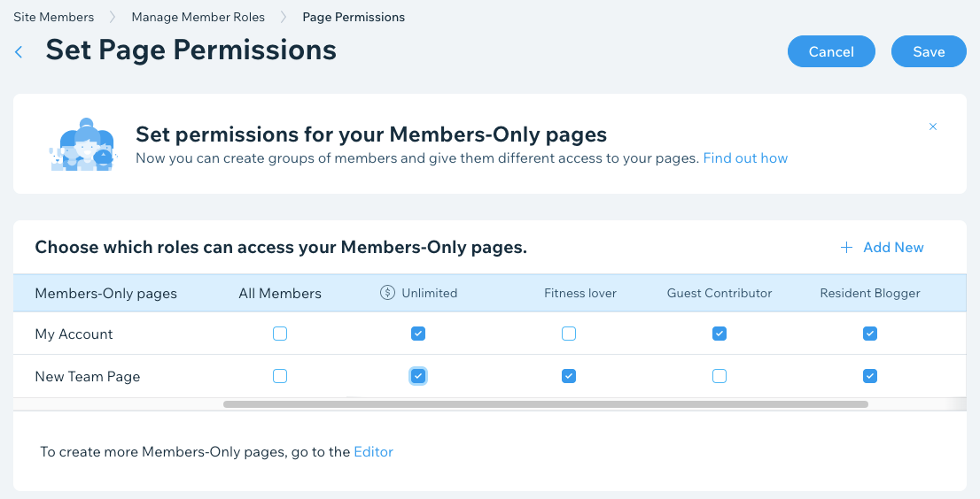 A screenshot of the Set Page Permissions page that lets site owners change the pages different roles can access