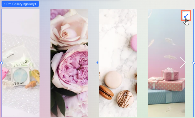 Screenshot dell'icona Adatta su una Pro Gallery nell'Editor X