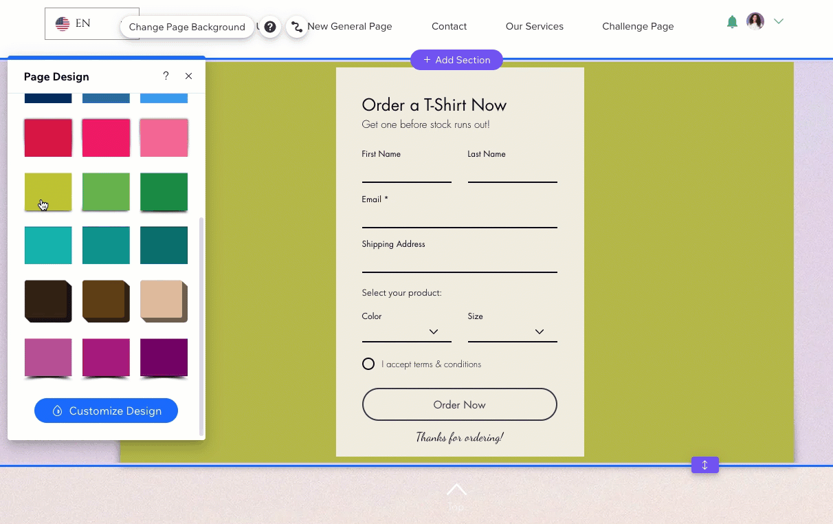 A GIF showing different page design options you can apply and how they look on your site.