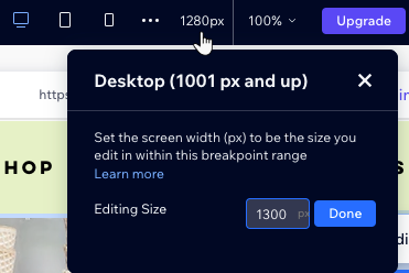 A screenshot showing the panel that opens when hovering over the screen size, letting you set a default size