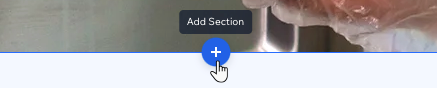 A screenshot of the Add Section icon on the canvas, in between sections