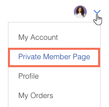 The login bar menu showing the regular member tabs alongside a custom private member page