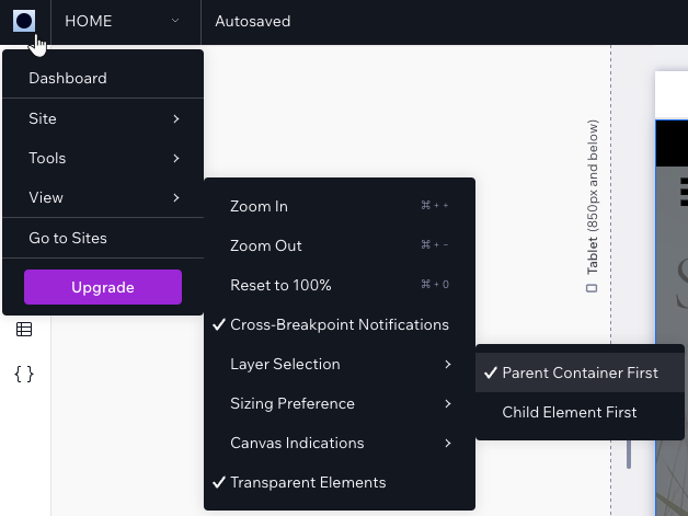 Setting a layer selection preference in the Studio Editor