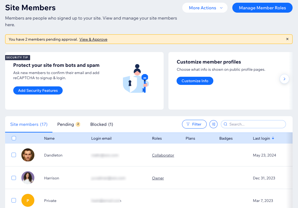 Uma captura de tela da lista de membros no painel de controle do site Wix