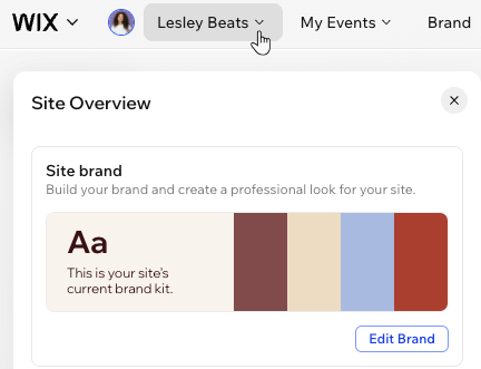 Het Websiteoverzicht-paneel in de Wix Harmony Editor, met het merk-gedeelte