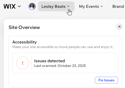 Het Websiteoverzicht-paneel in de Wix Harmony-editor, met het toegankelijkheidsgedeelte