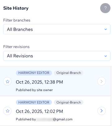 The Site History page, showing the 2 most recent publish logs and the details of the person who published