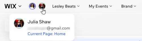 hovering over a collaborator's image in the Wix harmony Editor, showing their name, email and current page