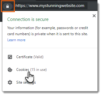 secure icon shown in URL bar,