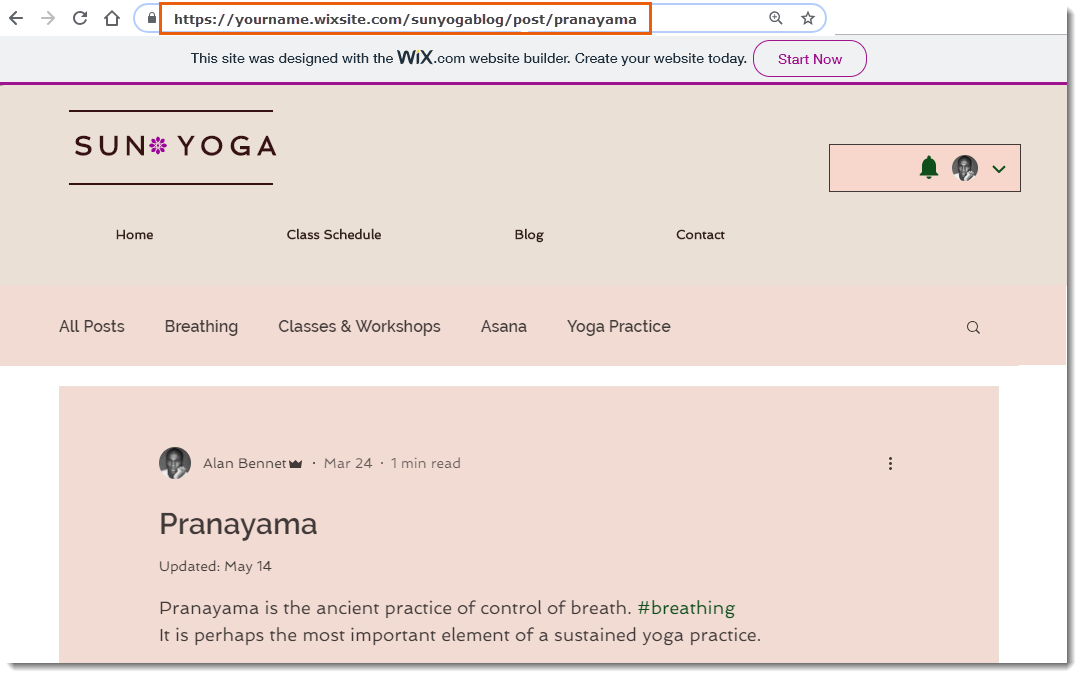 Wix Blog: About Blog Post Web Addresses (URLs) | Help Center | Wix.com