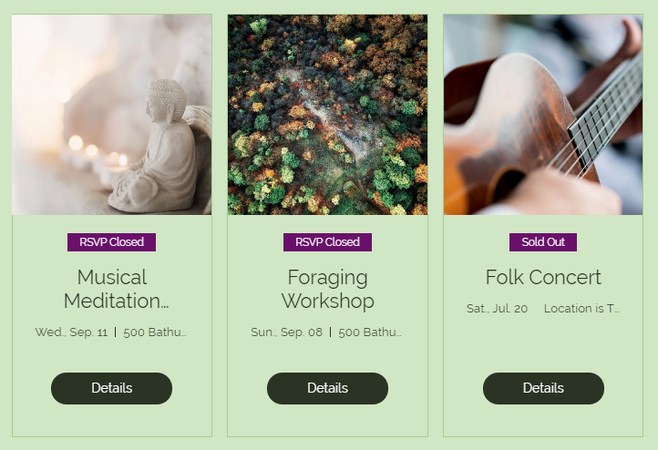 Example of a live Wix site showing a list of past events, with a 'Details' button and a 'RSVP Closed' label