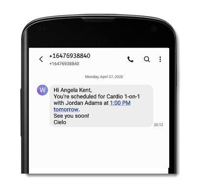 A screenshot showing an example of an SMS reminder for an upcoming session.