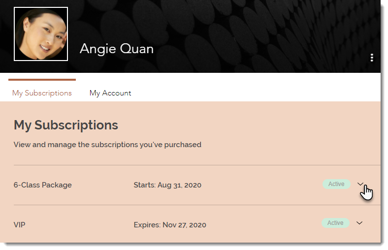 Pricing Plans Allowing Clients To Cancel Plans Help Center Wix
